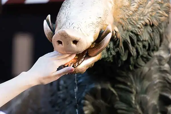 Lugar turístico Florencia Lugar turístico Florencia